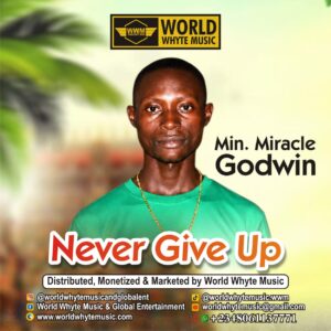 Never Give Up by Min Miracle Godwin
